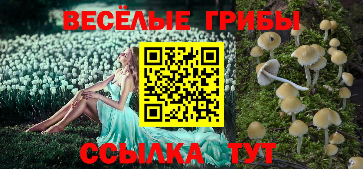 Псилоцибиновые грибы Psilocybe  Псилоцибиновые грибы мухоморы  Химки  Вход с VPN 