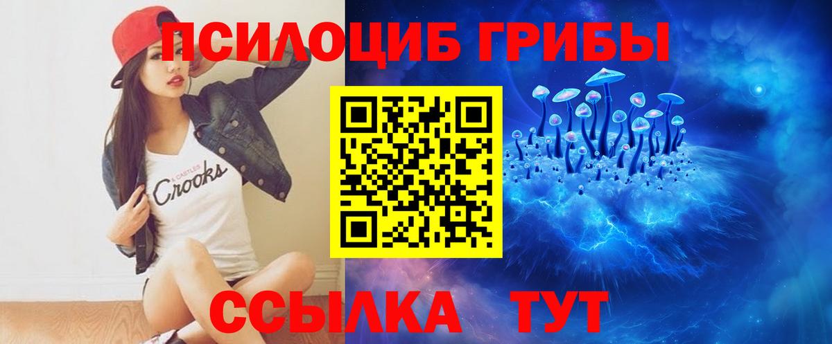 Псилоцибиновые грибы GOLDEN TEACHER Химки